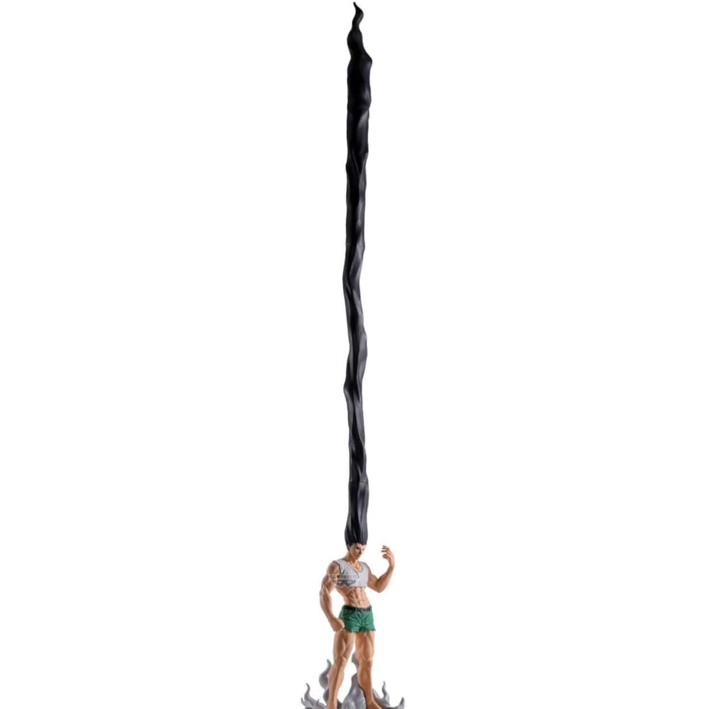 Hunter x Hunter-Gon Life