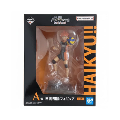 Haikyu-Shoyo Hinata