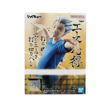 Haykiu-Kotaro Bokuto